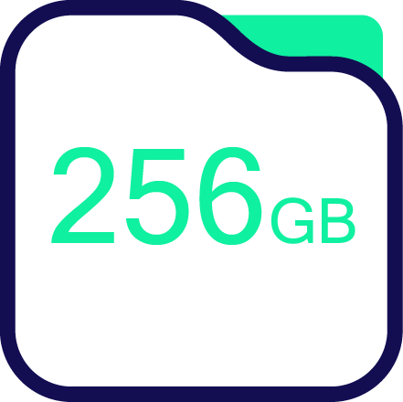 Storage 256GB