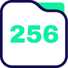 Storage 256GB